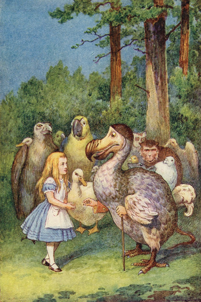 Dodo przedstawia Alicję z naparstkiem (kolorowy grawerunek) autorstwa John Tenniel