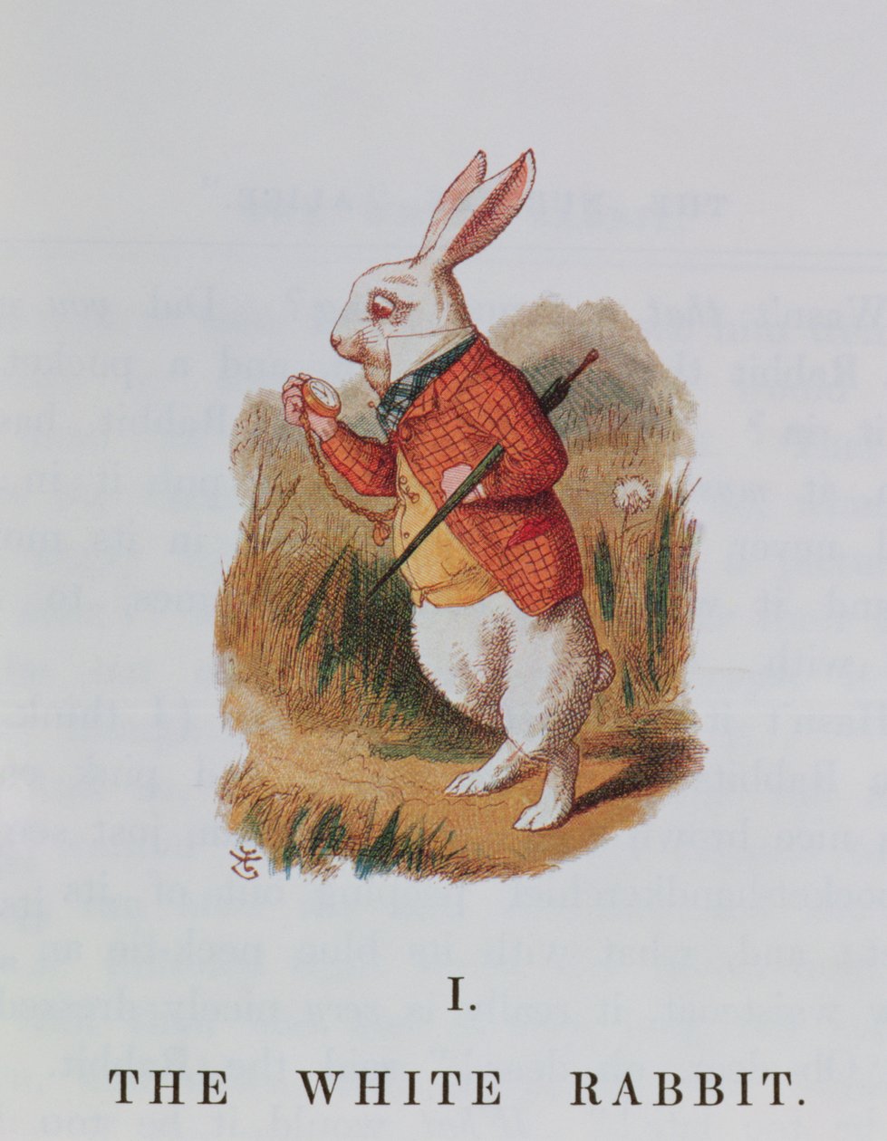 Biały Królik, ilustracja z „Alicji w Krainie Czarów” Lewisa Carrolla (1832-98) w adaptacji Emily Gertrude Thomson (zm. 1932) 1889 autorstwa John Tenniel