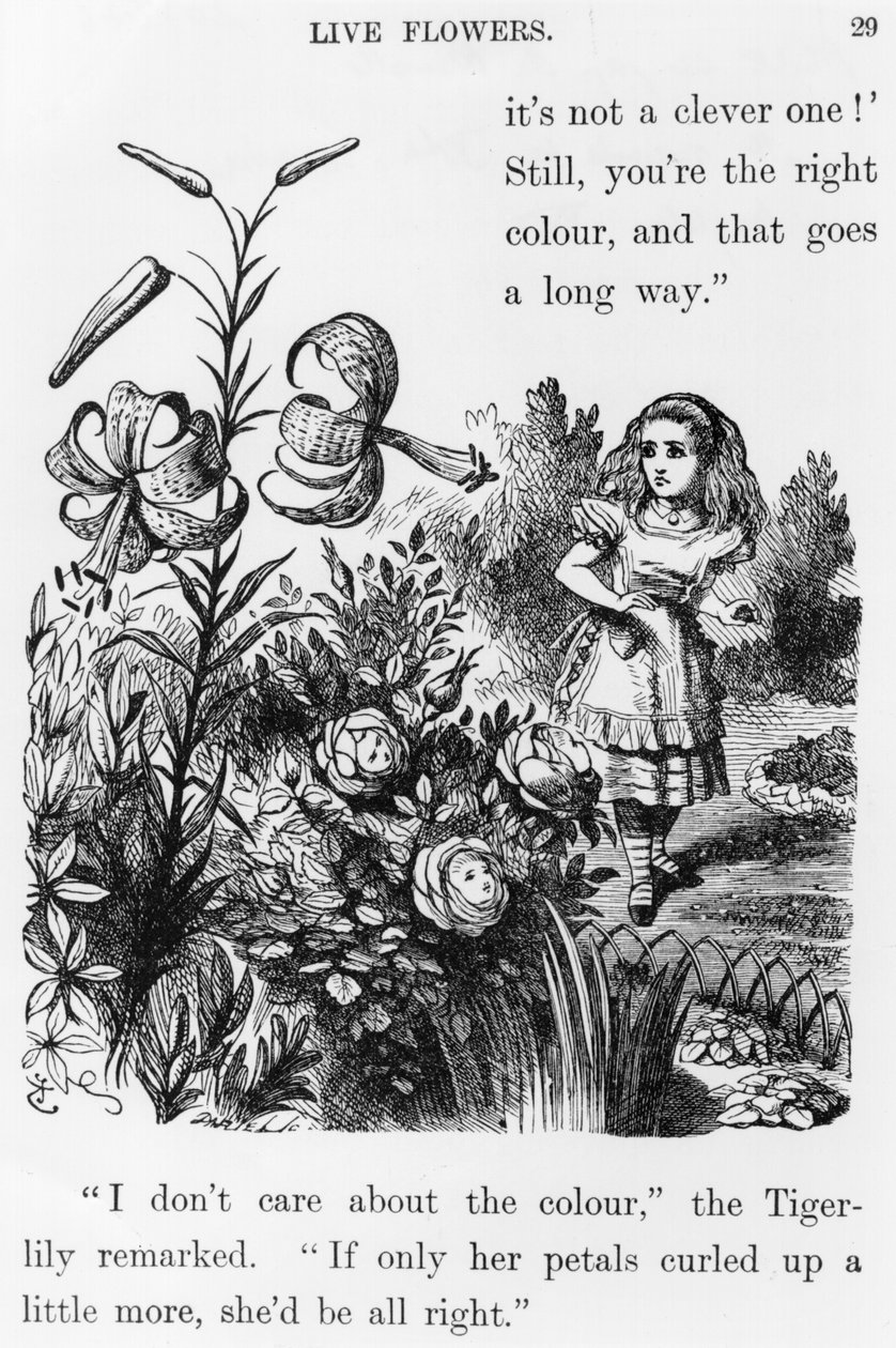 Tiger Lily, z „Po drugiej stronie lustra” Lewisa Carrolla (1832-98) autorstwa John Tenniel