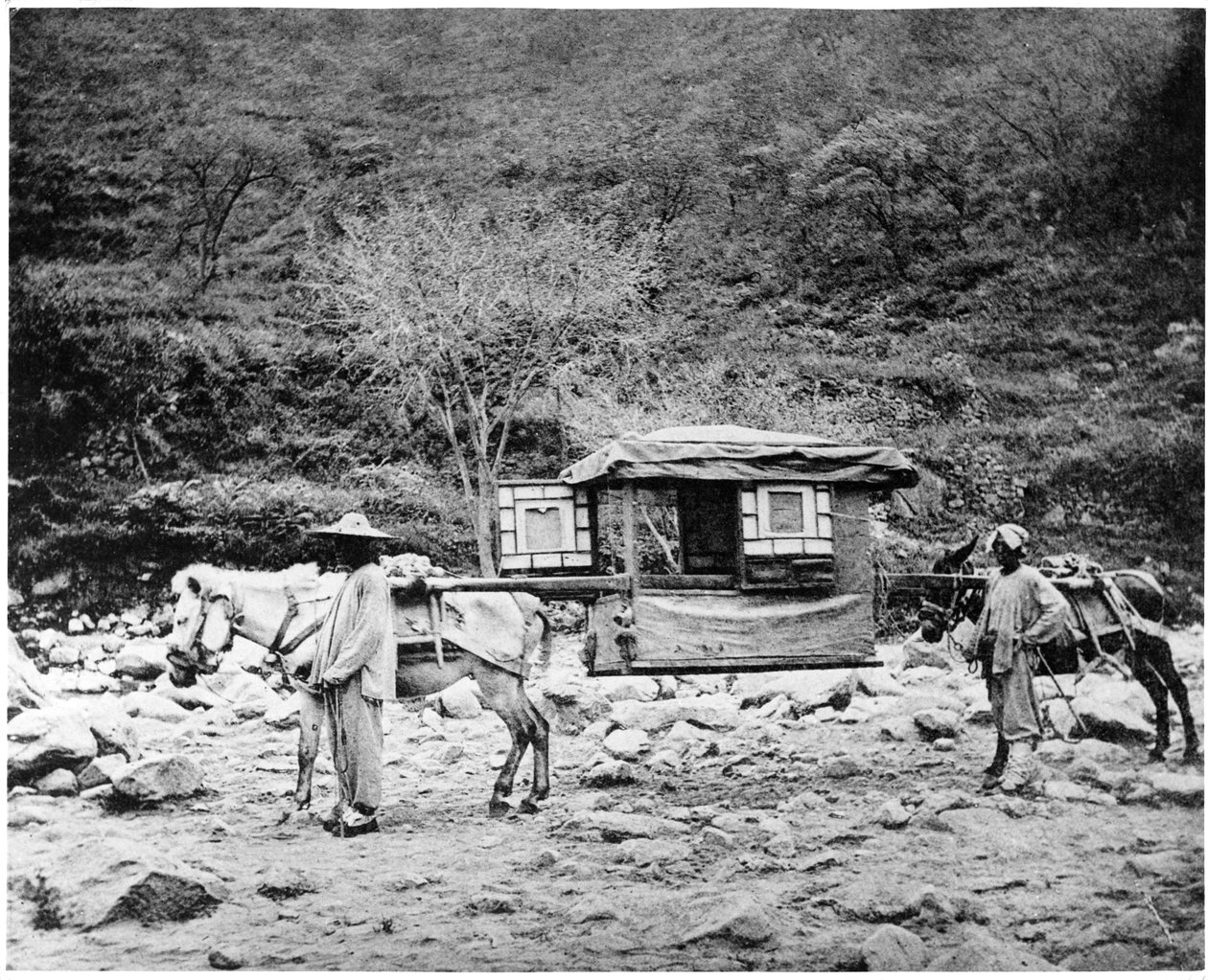 Miot mułów pekińskich, ok. 1867-72 autorstwa John Thomson