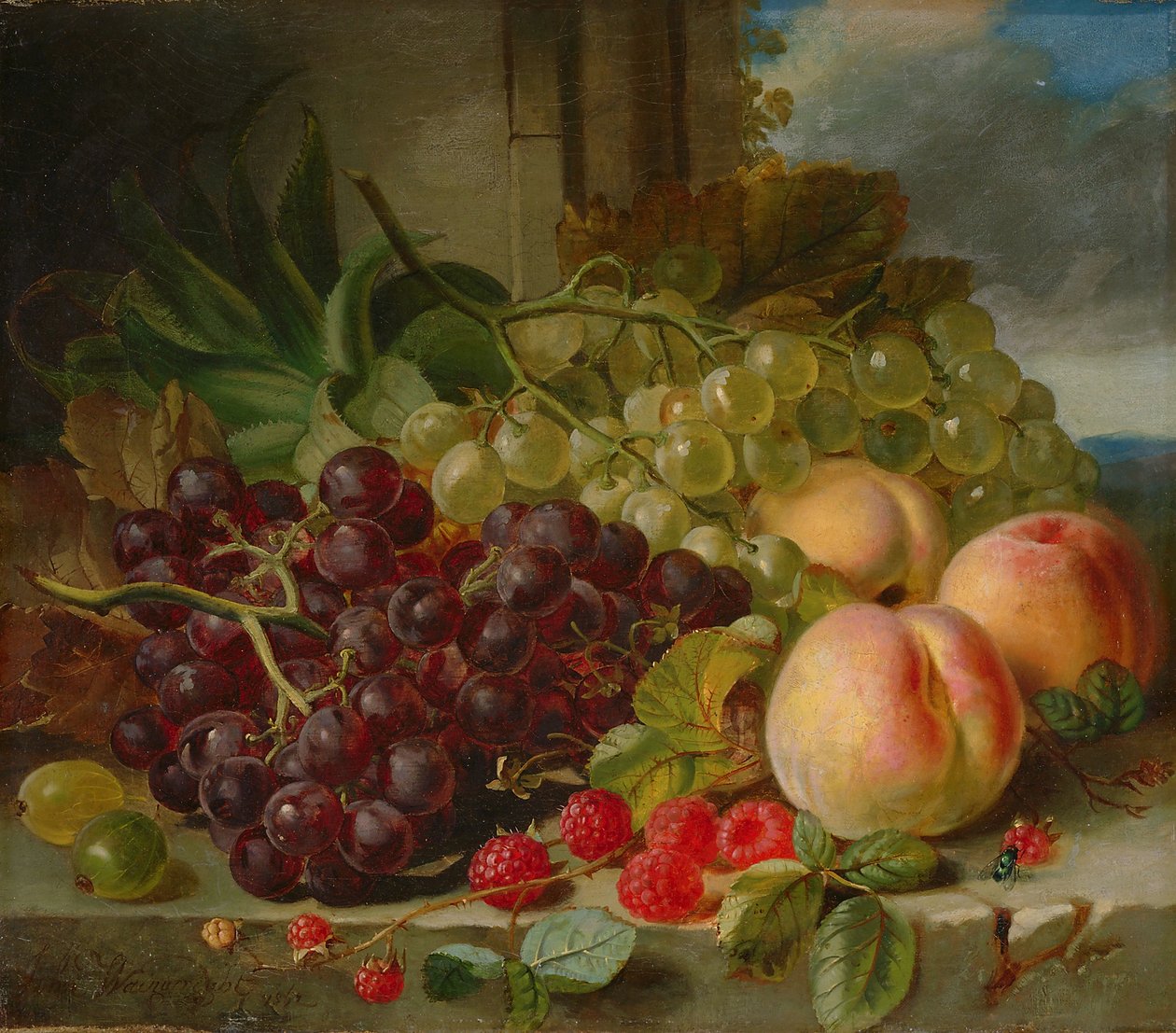 Martwa natura z owocami, 1862 autorstwa John Wainwright