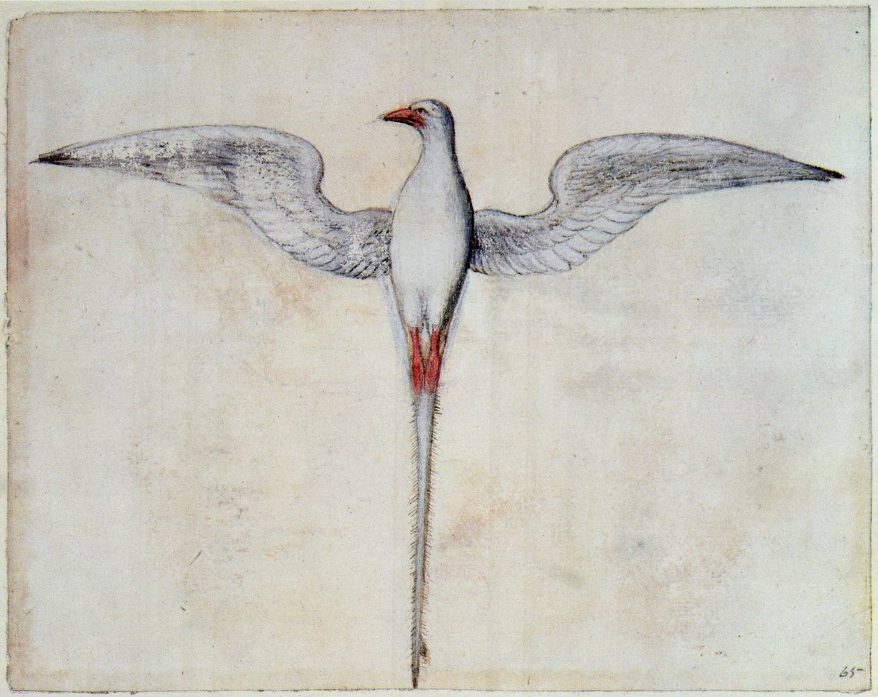 Faeton autorstwa John White
