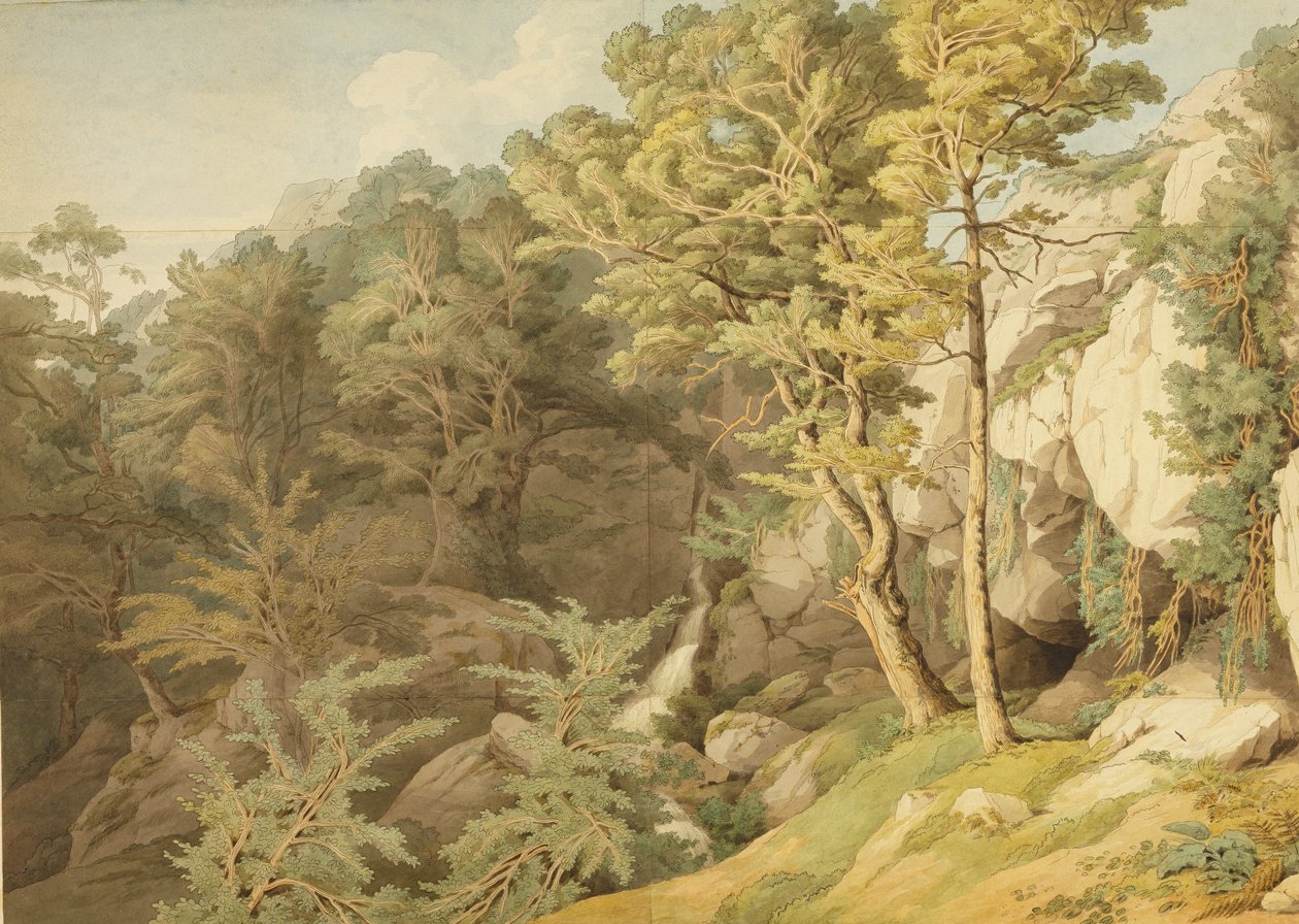 Canonteign, Devon, 1804 (pióro i atrament i toaleta na papierze) autorstwa John White Abbott