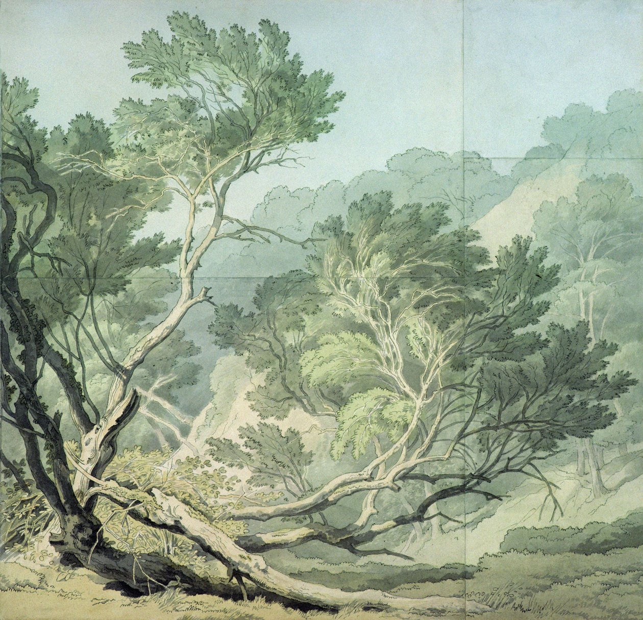 Zobacz w pobliżu Fordlands, Exeter autorstwa John White Abbott