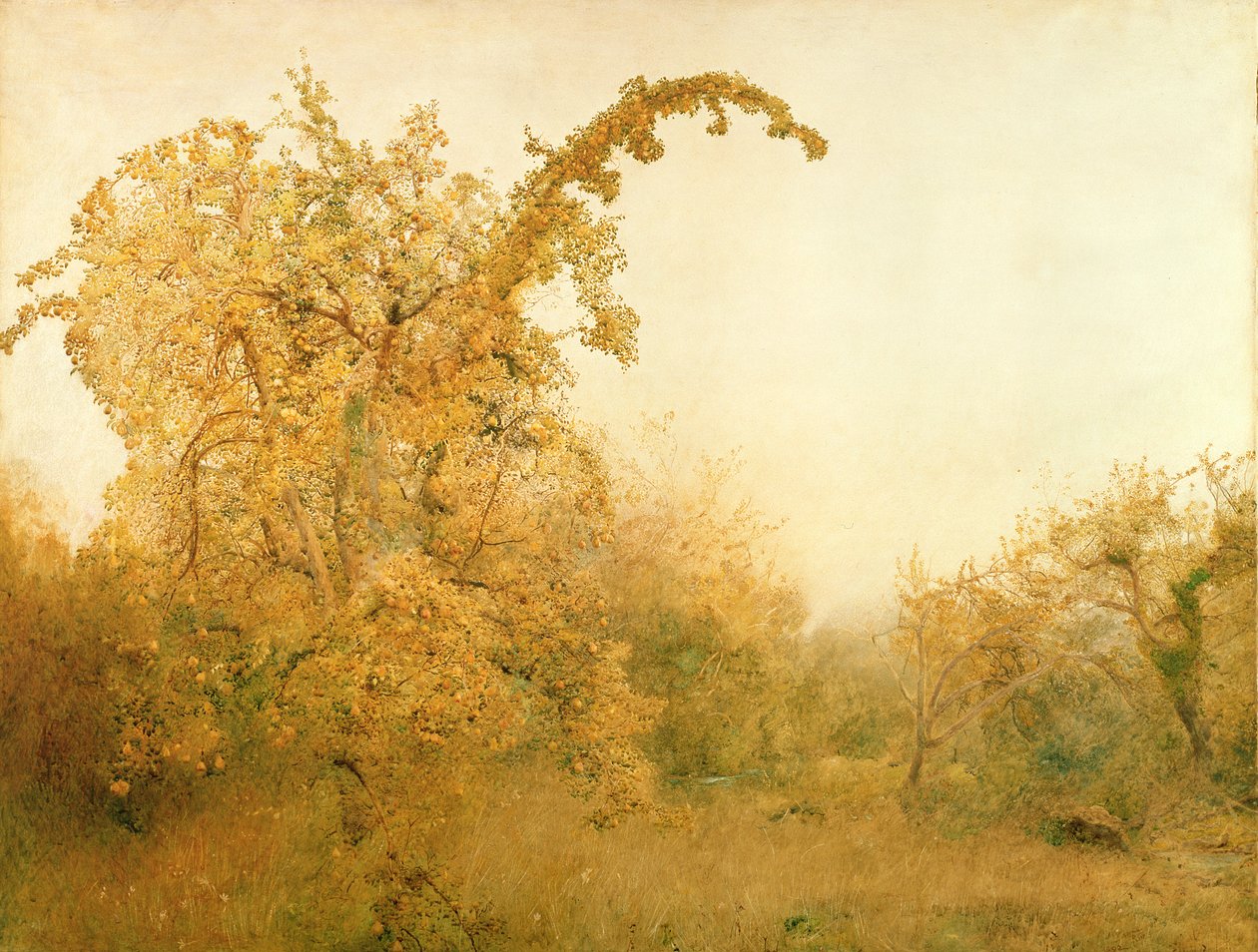 Stara Grusza autorstwa John William North