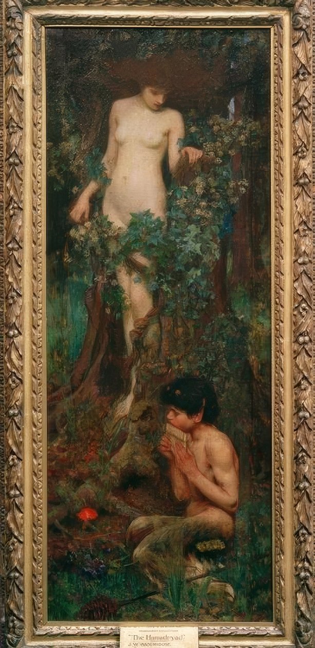 Hamadriada autorstwa John William Waterhouse