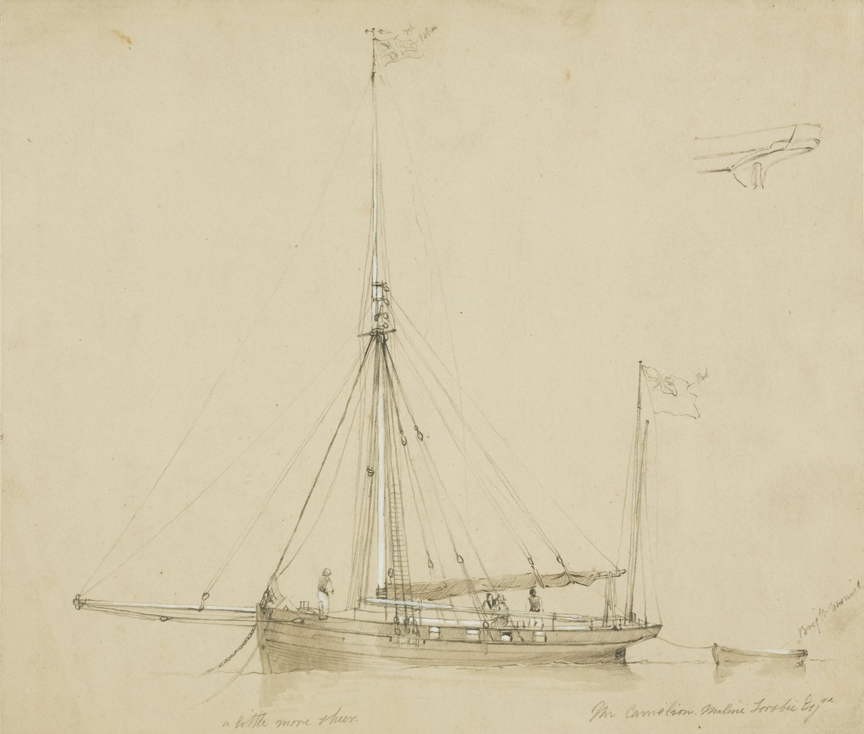 Kameleon, Thaline Sosie Esq. (ołówek i akwarela na papierze) autorstwa John Wilson Carmichael