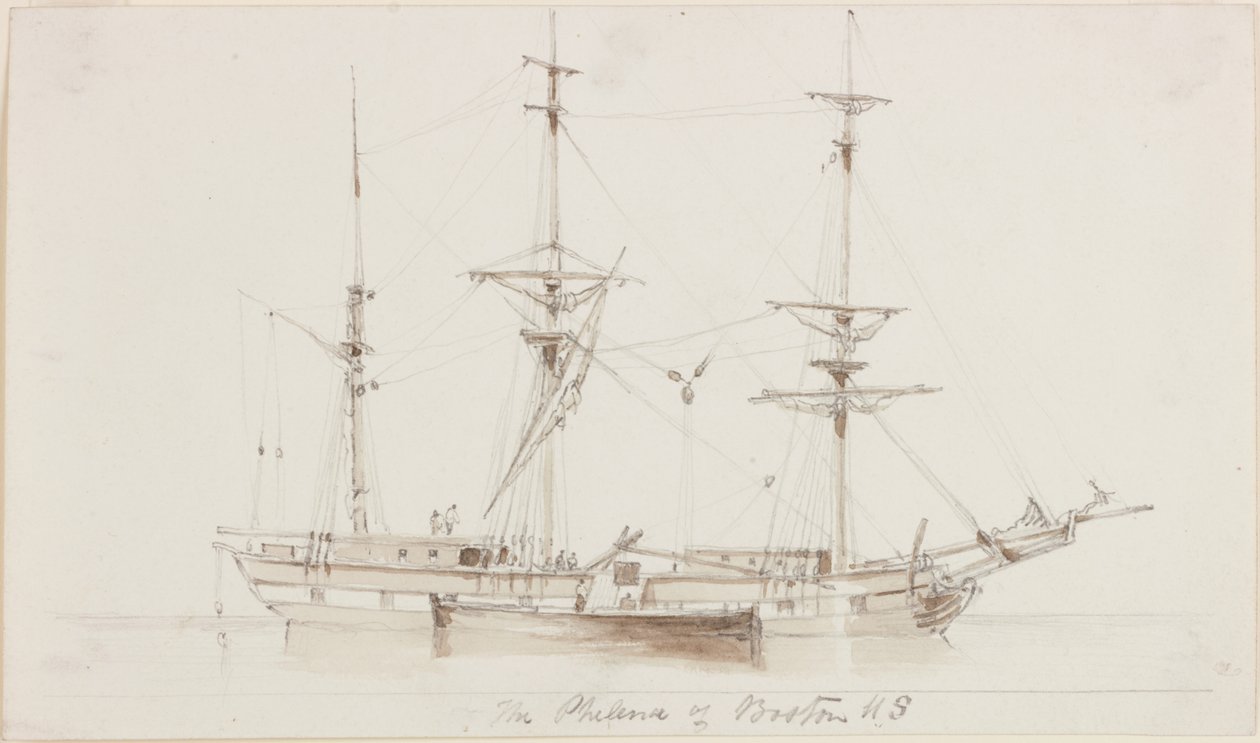 Filena z Bostonu USA (ołówek i akwarela na papierze) autorstwa John Wilson Carmichael