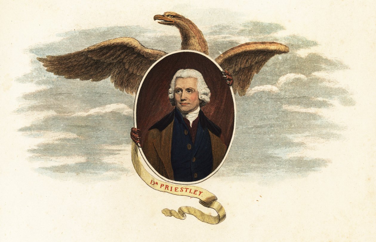 Dr Joseph Priestley, teolog i naukowiec autorstwa John (after) Opie