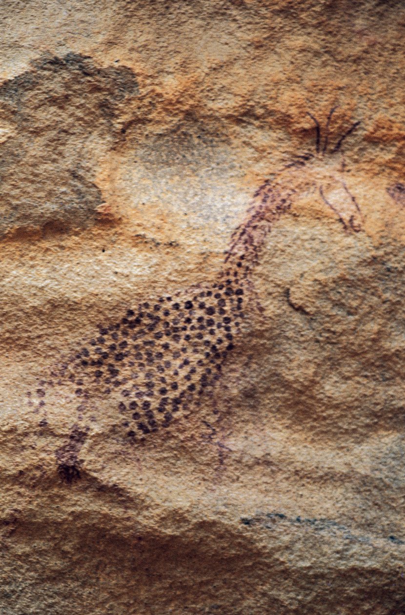 Żyrafa, malowidło jaskiniowe, okres pasterski (4000-2500 pne), Tassili n