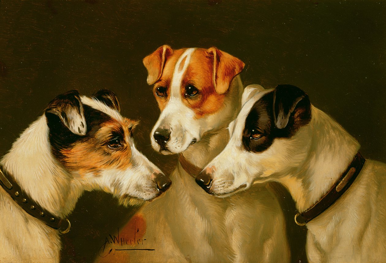 Ogary autorstwa John Alfred Wheeler