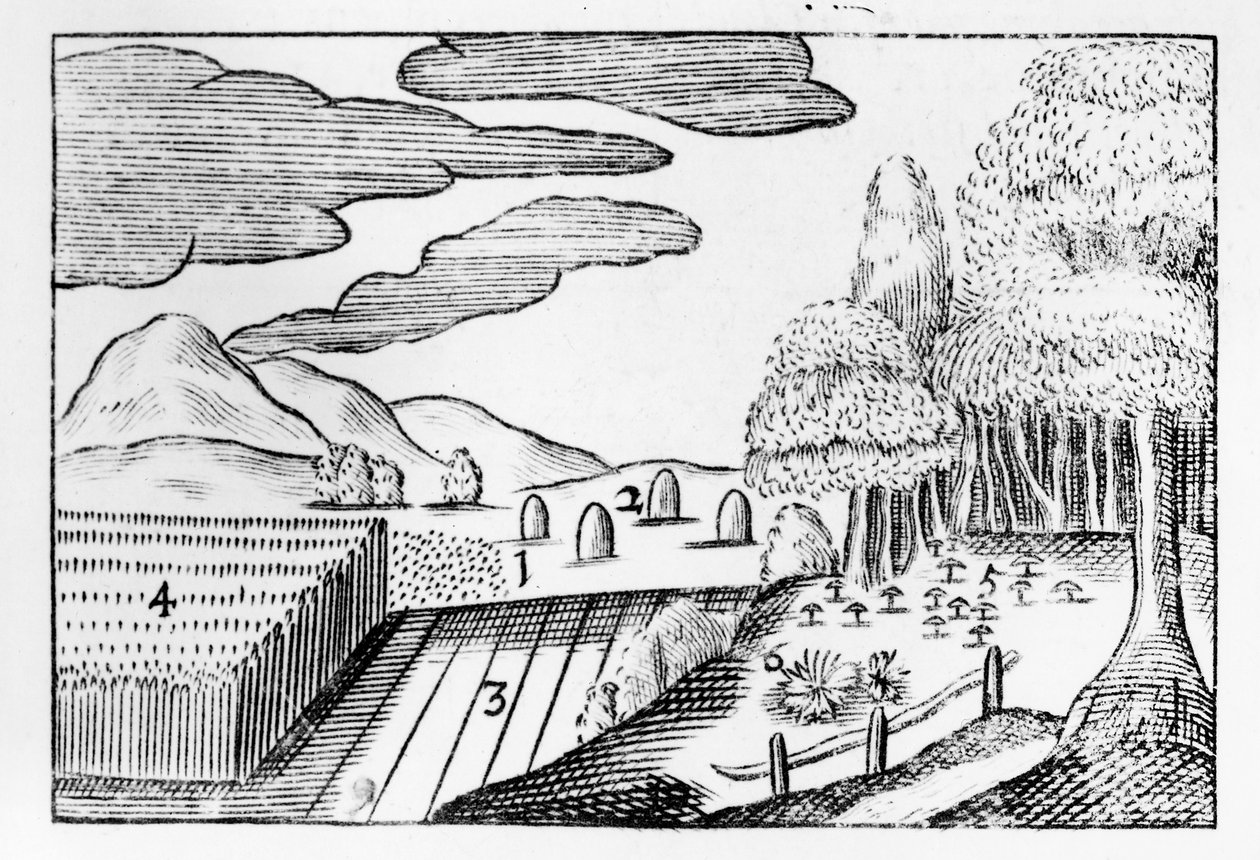 Owoce Ziemi, 1658 autorstwa John Amos Comenius