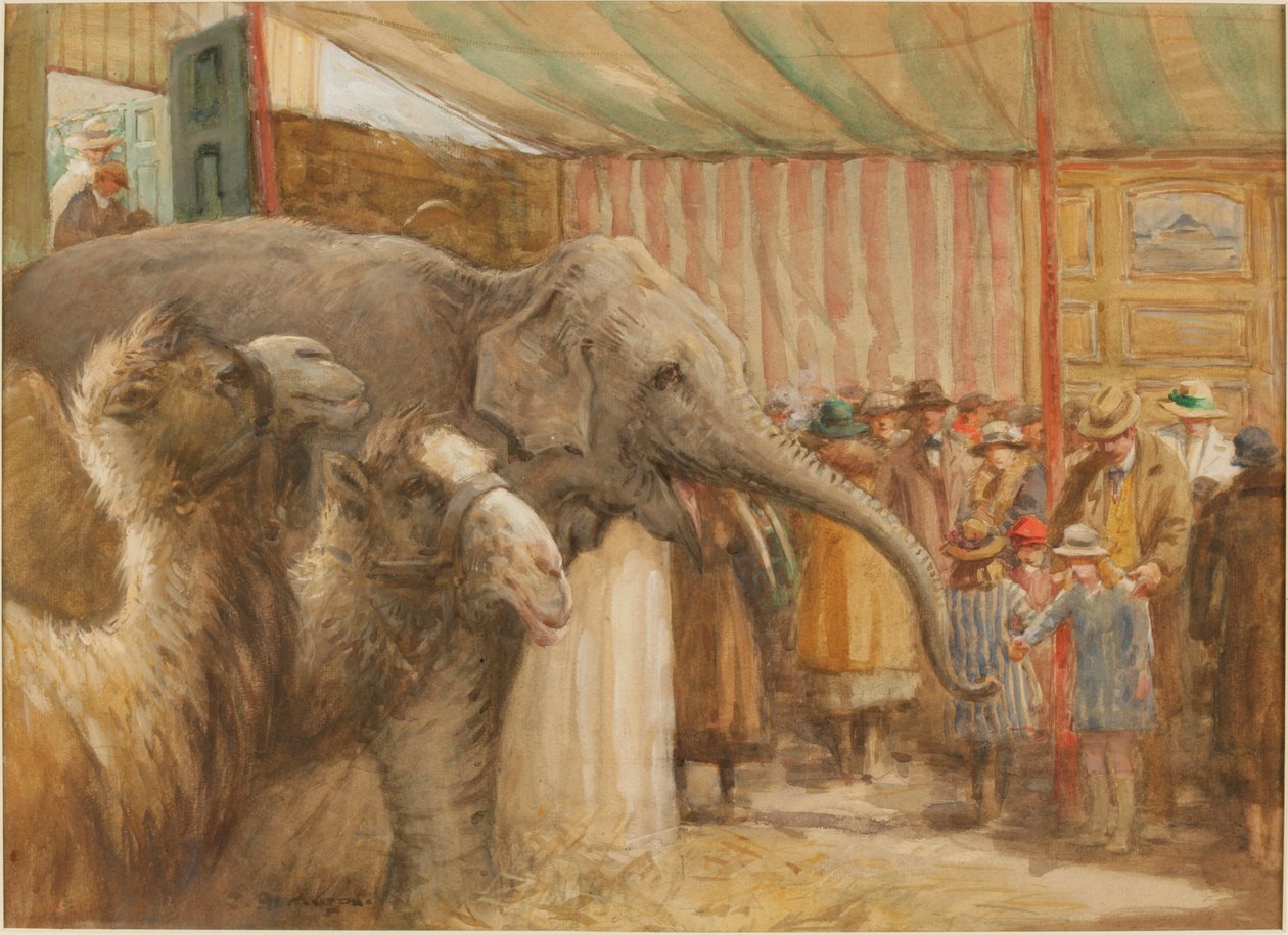 Menażeria Bostocka i Wombwella (ołówek i toaleta na papierze) autorstwa John Atkinson