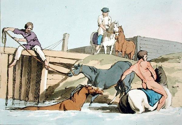 Konie w kąpieliskach, sztychowane przez artystę, wydane 1803 (kolor lito) autorstwa John Augustus Atkinson