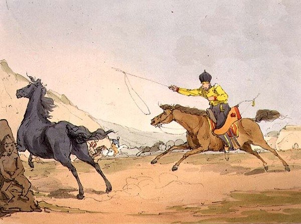 Tatarzy w łapaniu koni, tablica 69 z tomu III „Maniery, obyczaje i zabawy Rosjan”, akwaforta artysty, wyd. 1803 (akwatinta) autorstwa John Augustus Atkinson