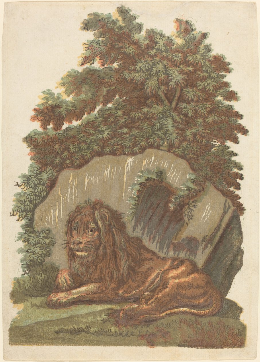 Lew autorstwa John Baptist Jackson