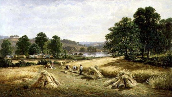 Zbieranie Złotego Ziarna w pobliżu Bishopsteignton, Plymouth autorstwa John Barrett