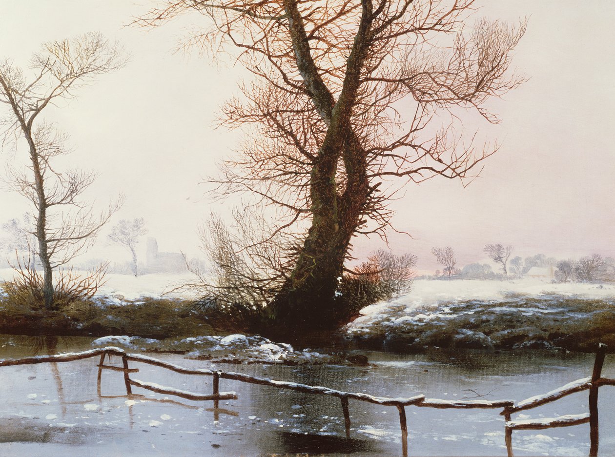 Zamarznięty basen, 1873 (olej) autorstwa John Berney Ladbrooke