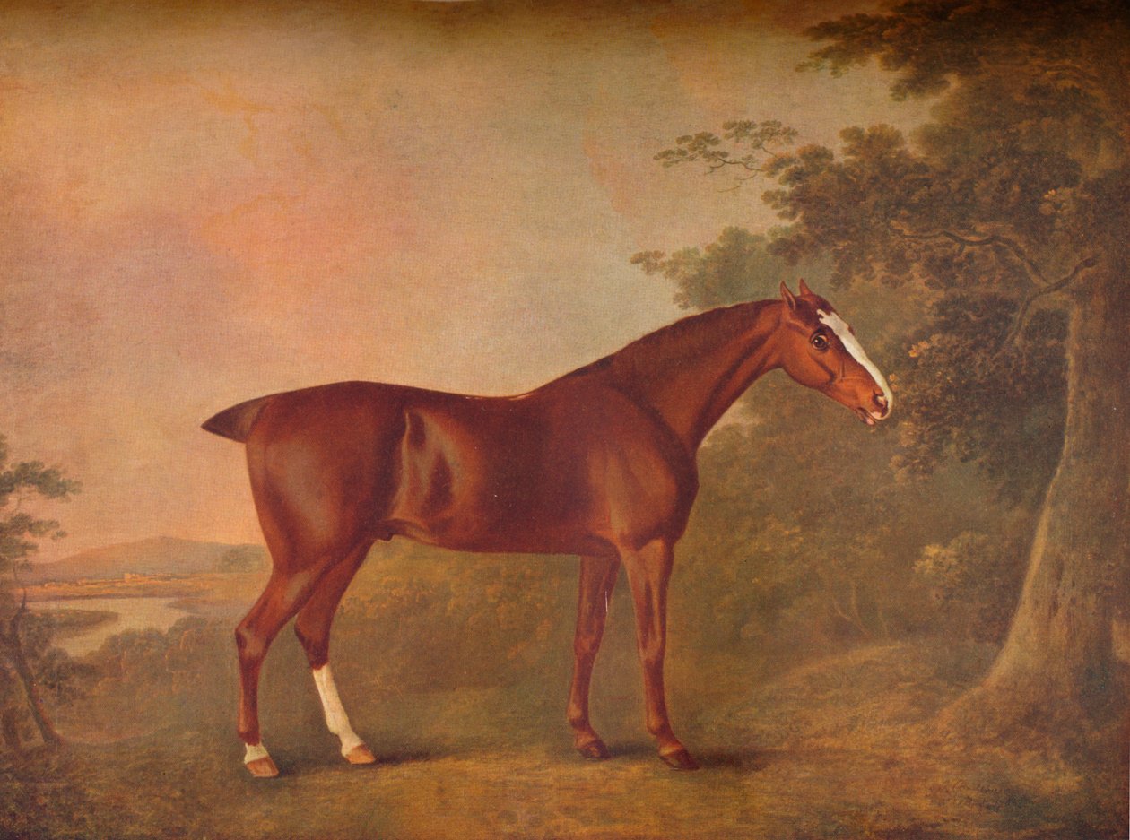 „Ciemny kasztan”, 1788 autorstwa John Boultbee