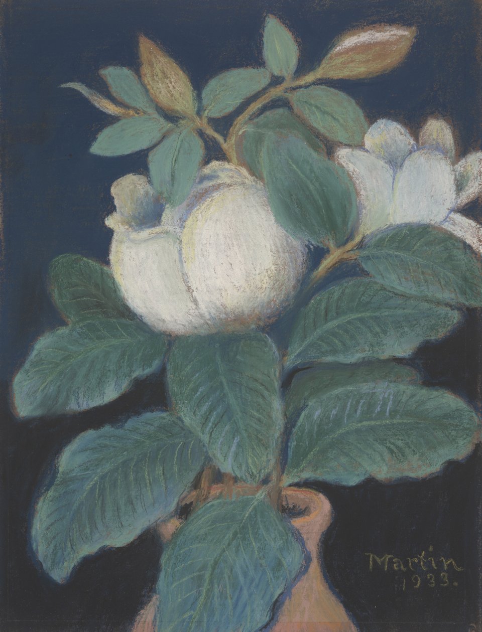 Kwiaty magnolii, 1933 autorstwa John Breckinridge Martin