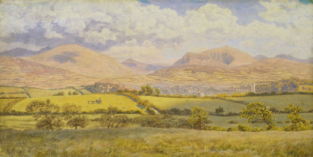 Caernarvon (olej na płótnie) autorstwa John Brett