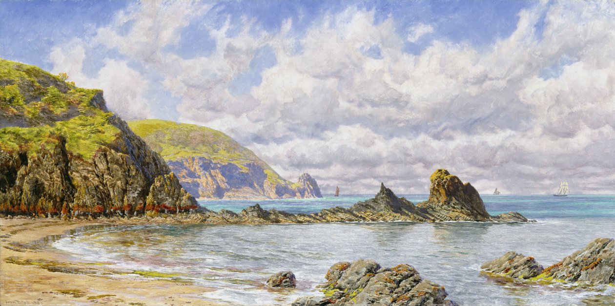 Forest Cove, Cardigan Bay autorstwa John Brett