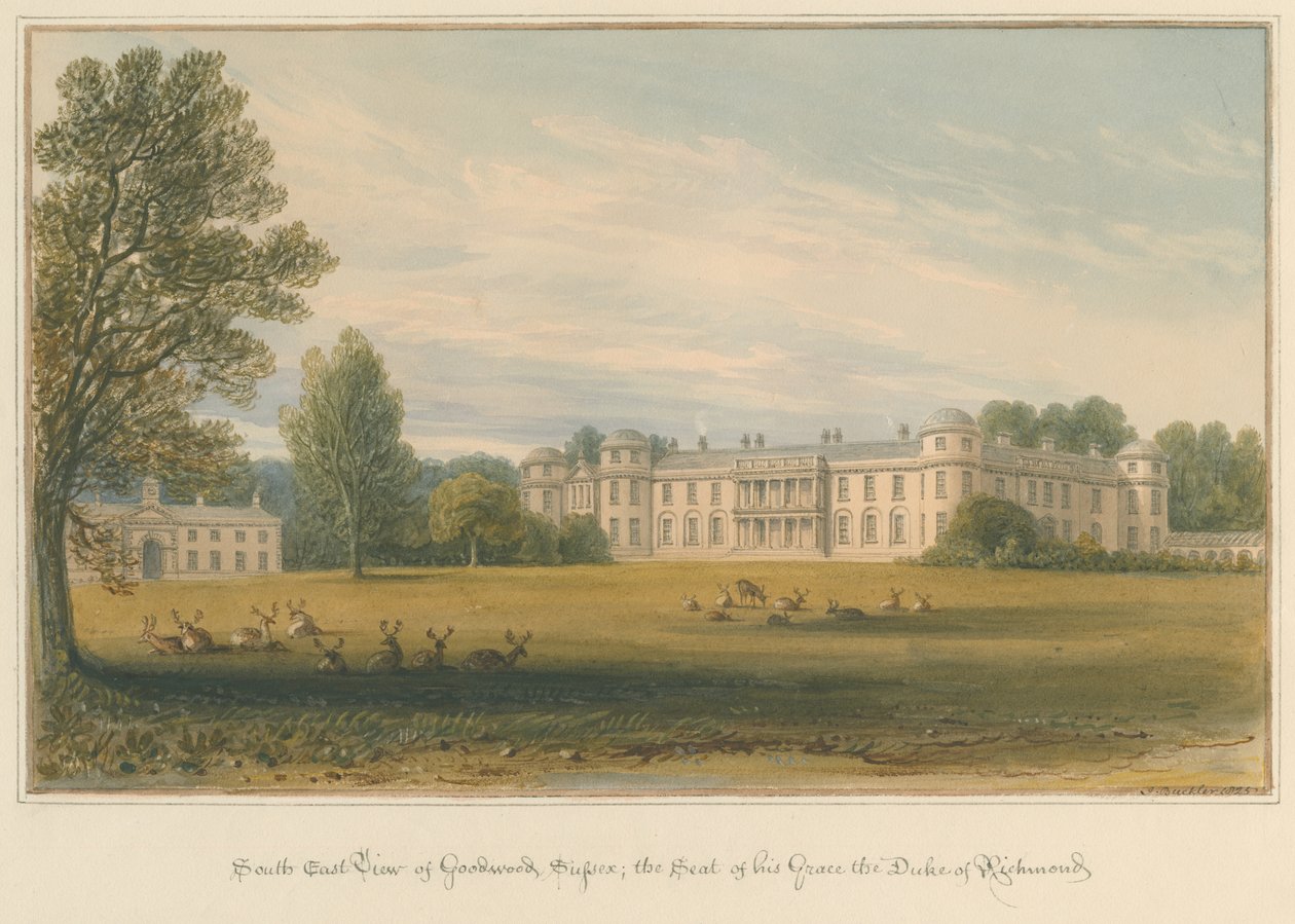Sussex - Goodwood, 1825 autorstwa John Buckler