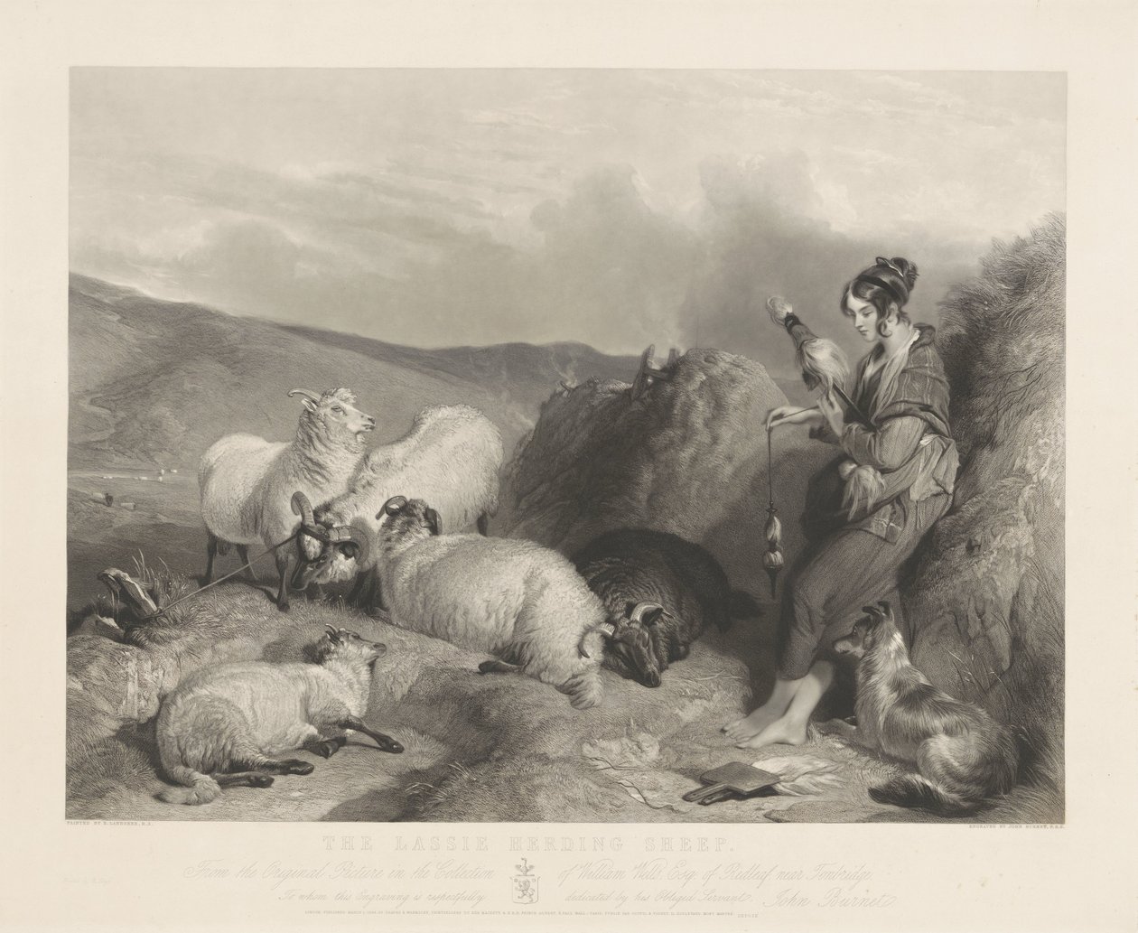 Lassie pasterskie owce. autorstwa John Burnet