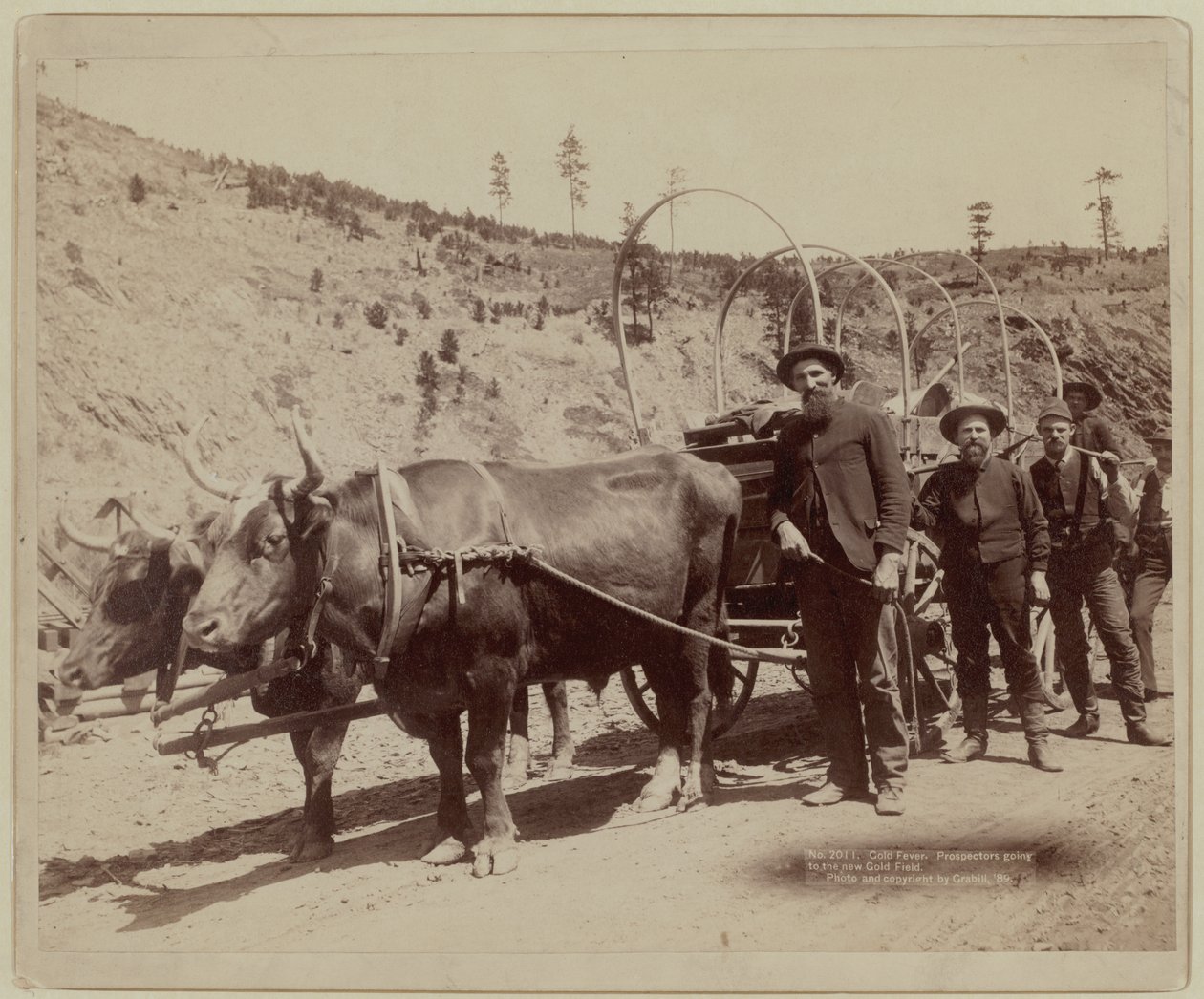  autorstwa John C. H. Grabill