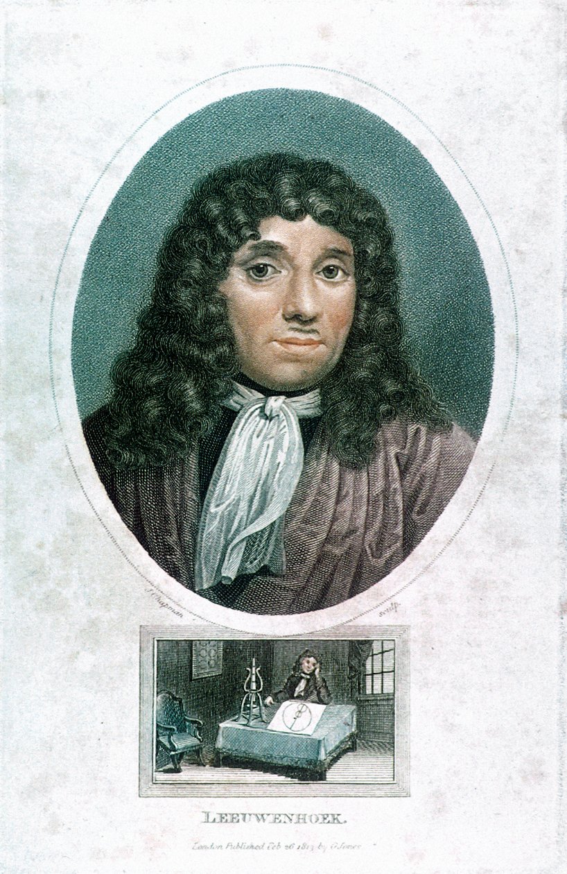 Anton van Leeuwenhoek 1632-1723, holenderski mikroskopista, c1810 autorstwa John Chapman