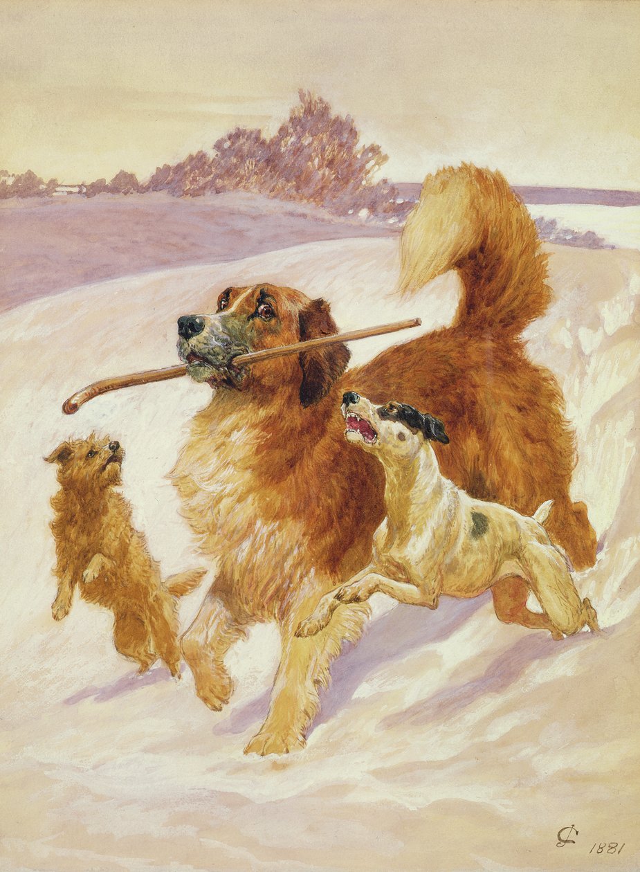 Trzy psy bawiące się na śniegu, 1881 autorstwa John Charlton