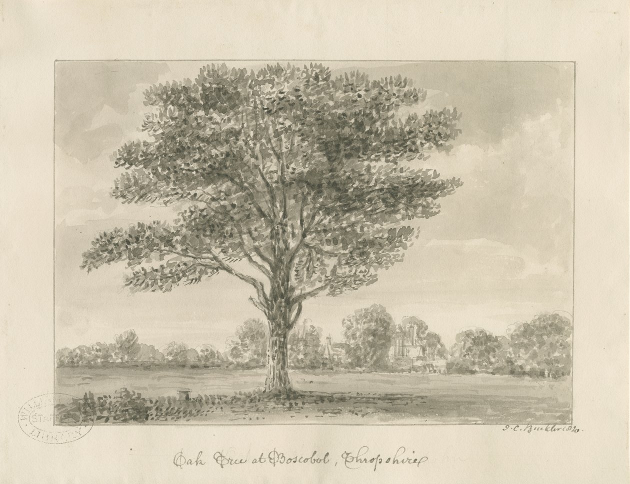 Boscobel - The Royal Oak : rysunek w sepii, 1820 autorstwa John Chessell Buckler