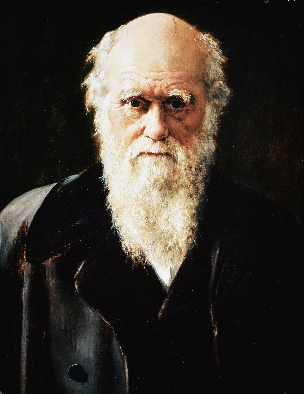 Portret angielskiego przyrodnika Karola Darwina, detal (olej na płótnie) autorstwa John Collier