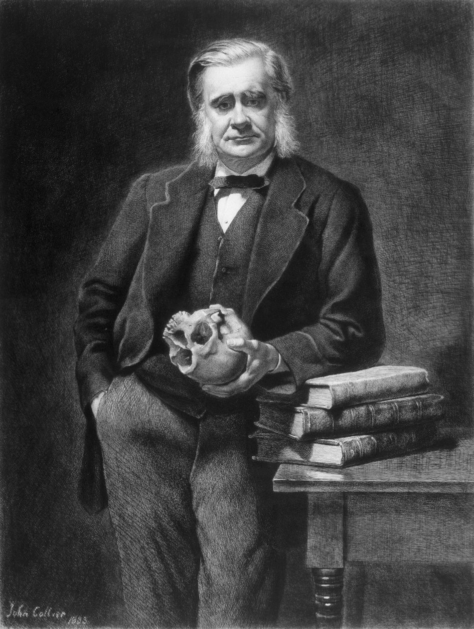 Thomas Henry Huxley (1825-95) wyryty przez Leopolda Flamenga (1831-1911) 1885 autorstwa John Collier