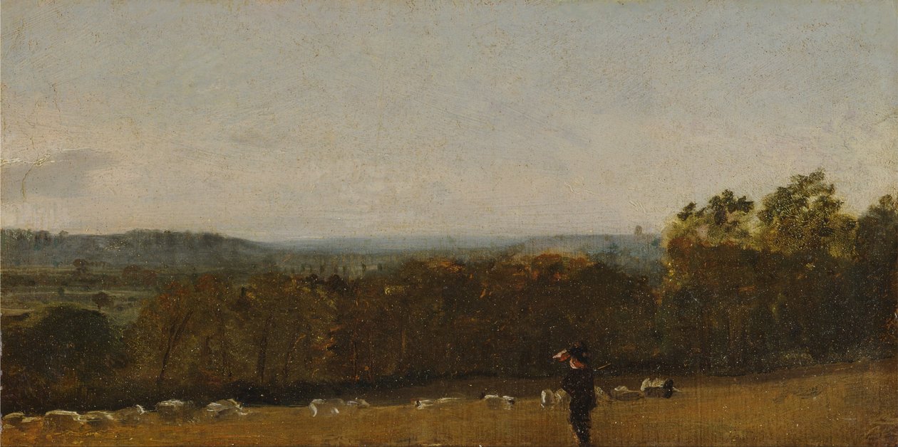 Pasterz w krajobrazie patrzący przez Dedham Vale w kierunku Langham autorstwa John Constable