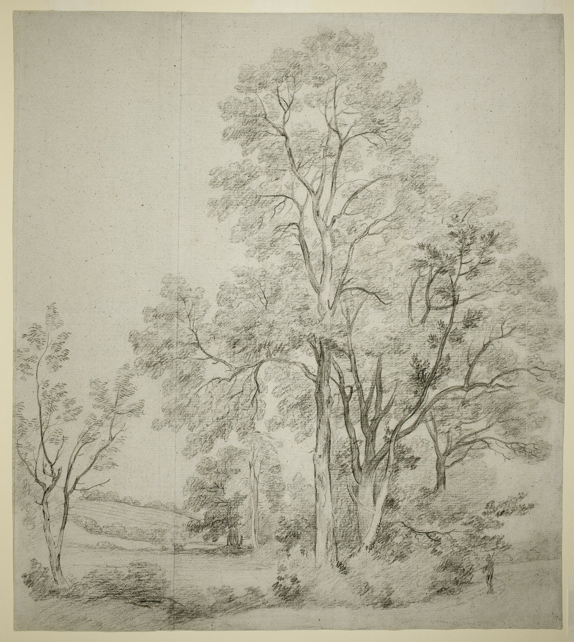 Stoisko Wiązów (recto); Studium East Bergholt z Kościołem (odw.) autorstwa John Constable