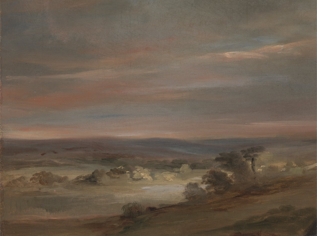 Widok na Hampstead Heath, wczesny poranek autorstwa John Constable
