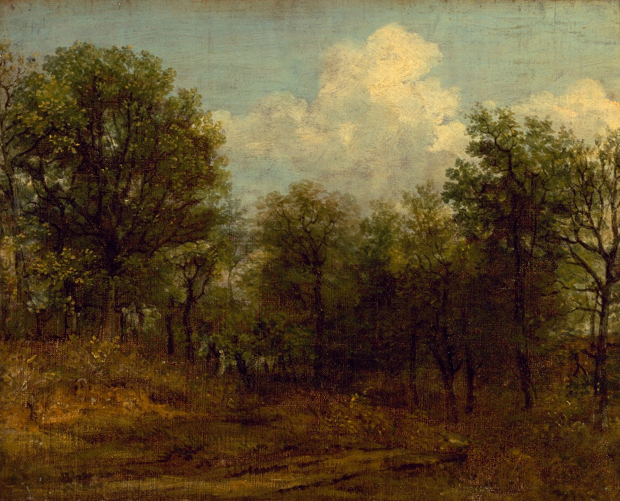 Drewno (obraz olejny) autorstwa John Constable