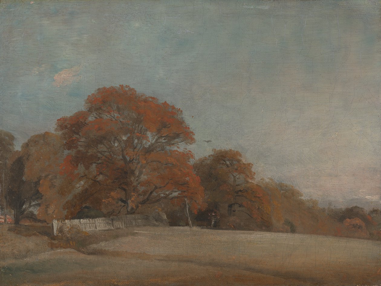 polish autorstwa John Constable