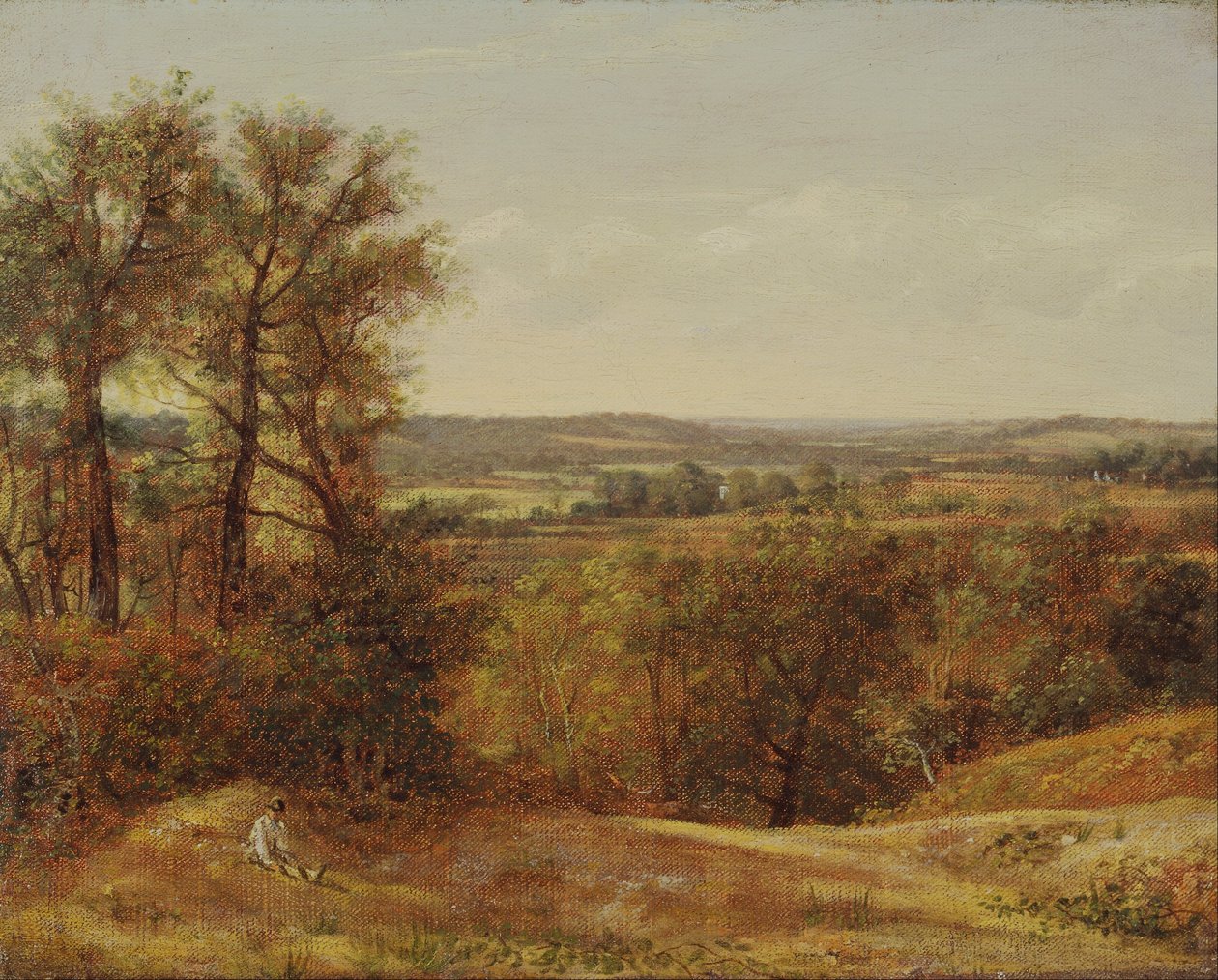 Dedham Vale autorstwa John Constable