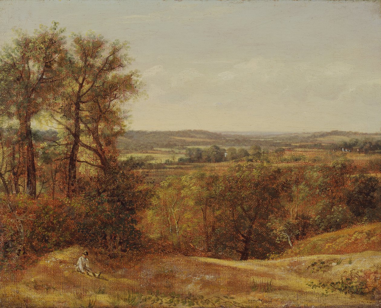 Dadham Wale, 1802. autorstwa John Constable