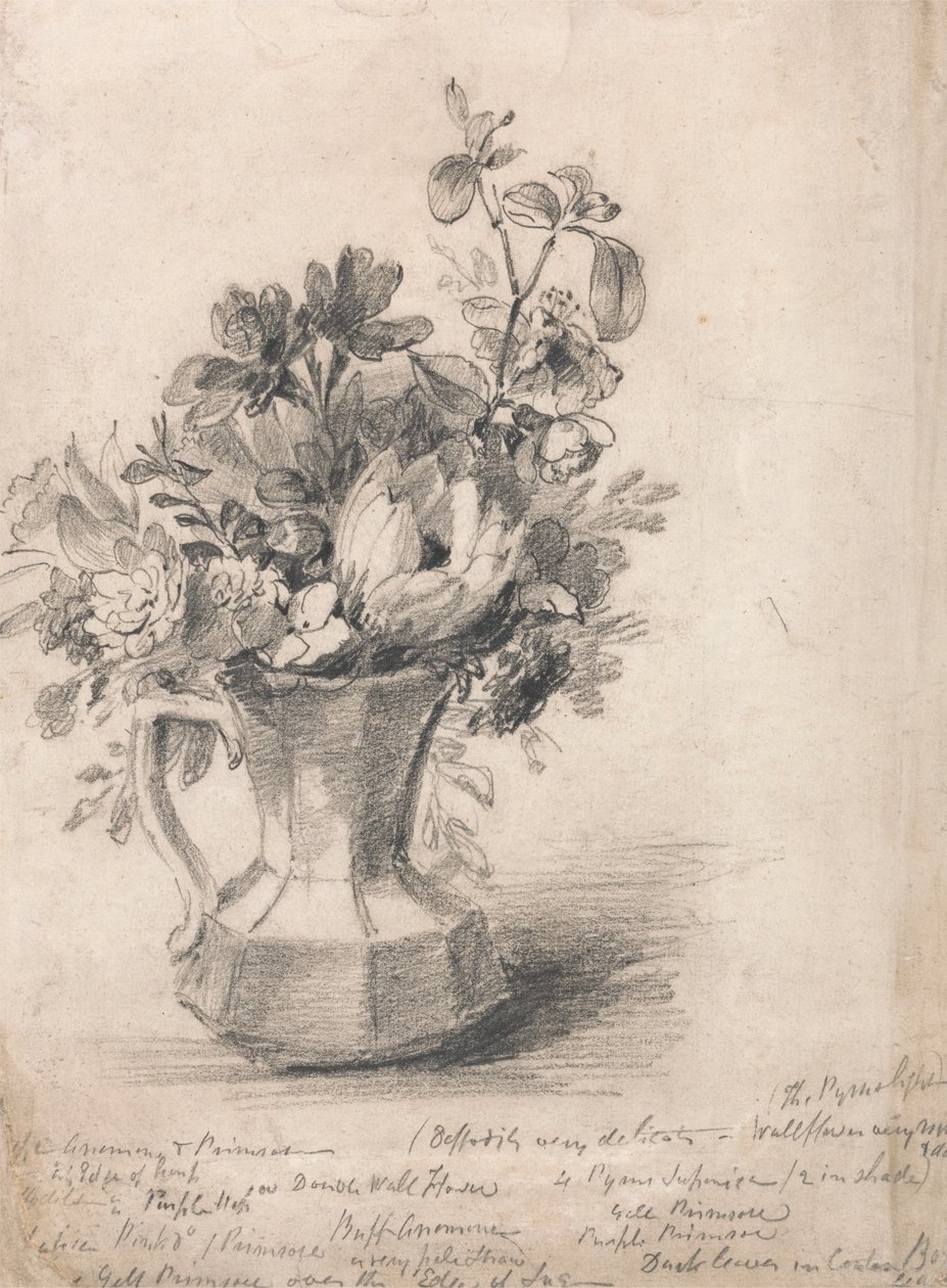 Kwiaty w dzbanku autorstwa John Constable