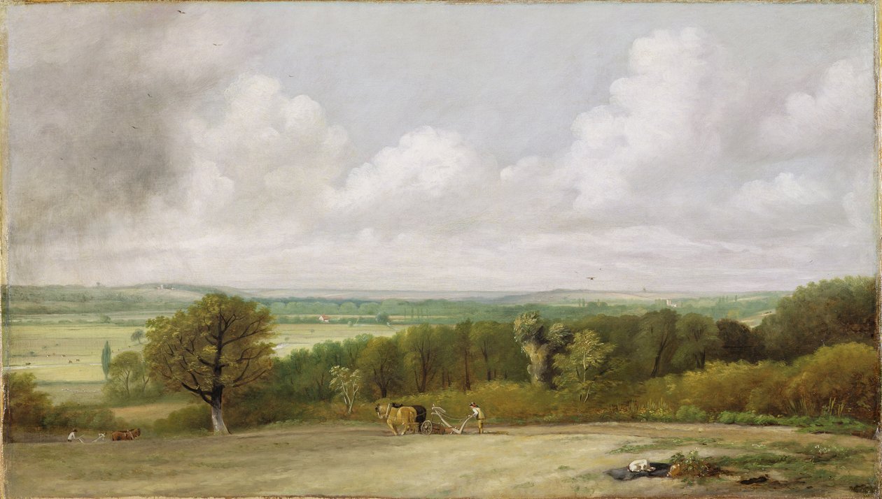 Krajobraz: Scena orki w Suffolk (Kraina lata) ok. 1824 (olej na płótnie) autorstwa John Constable