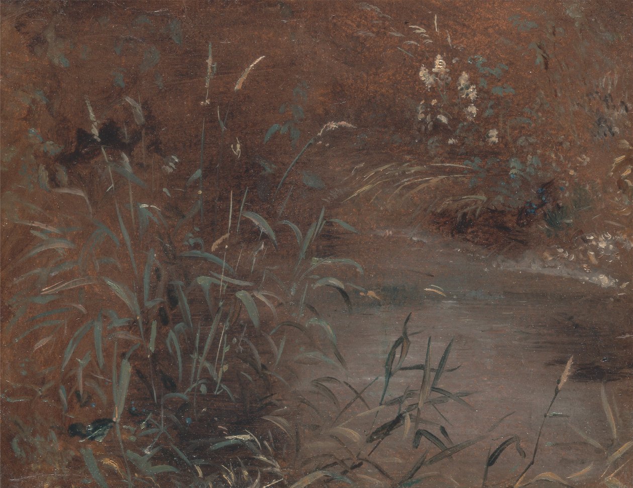 Biegnie przy basenie autorstwa John Constable