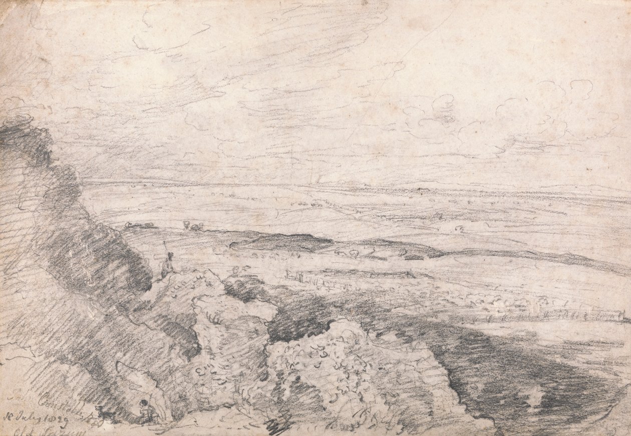 Alfred Russel Wallace (óleo sobre tela) polonês autorstwa John Constable