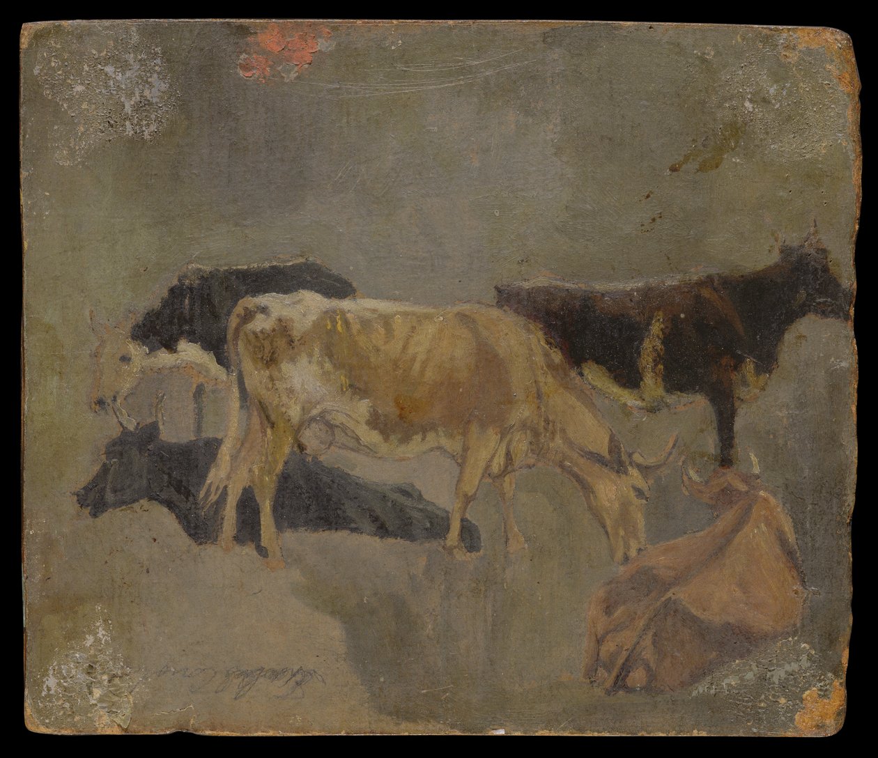 Studium Pięciu Rogatego Bydła (verso) (olej na tartaku) autorstwa John Constable