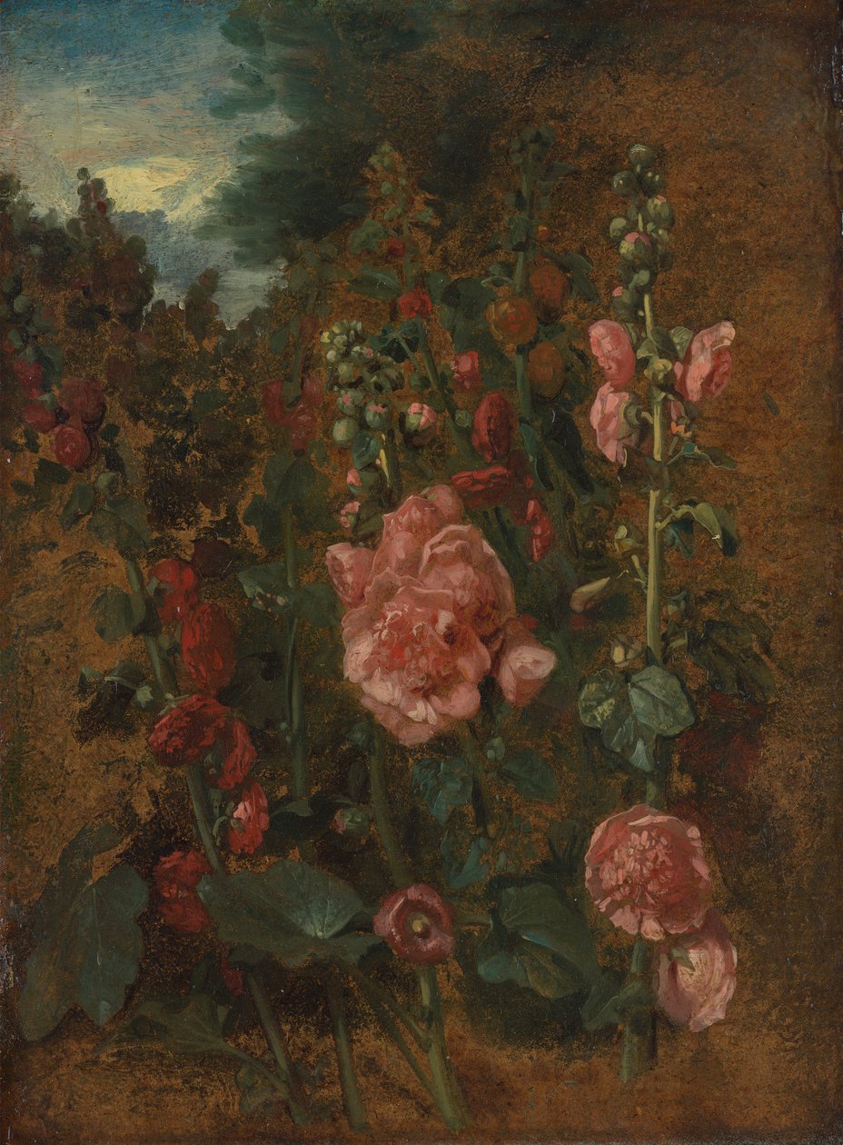 Estudo da malva-rosa autorstwa John Constable