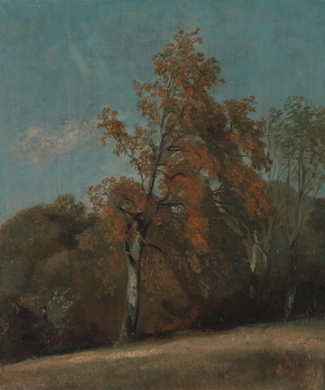 Badanie drzewa jesionowego autorstwa John Constable