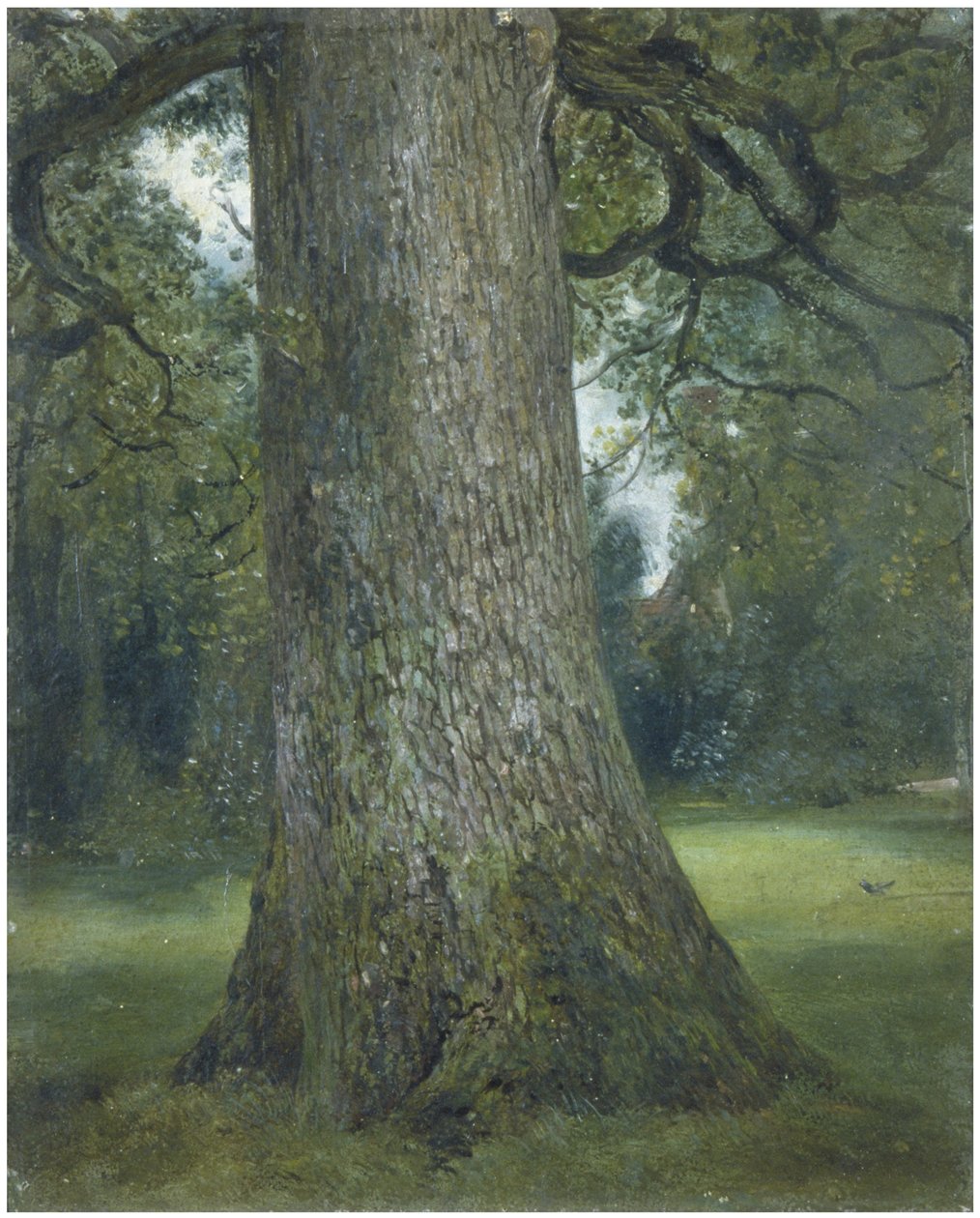 Studium pnia wiązu, ok. godz. 1824 autorstwa John Constable