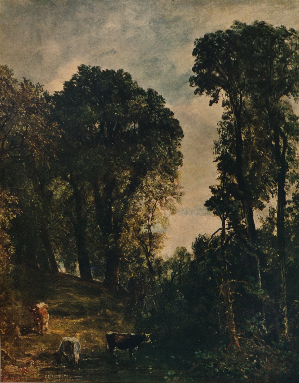 Drzewa w pobliżu kościoła Hampstead, 1829, c1915 autorstwa John Constable